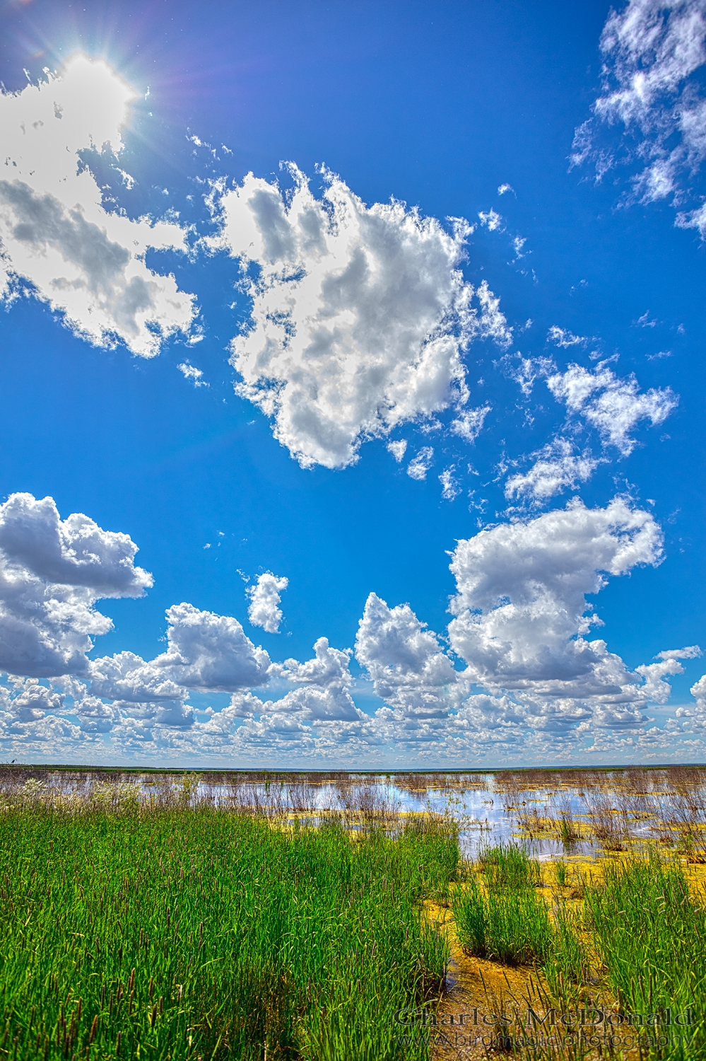 Beaverhill Lake