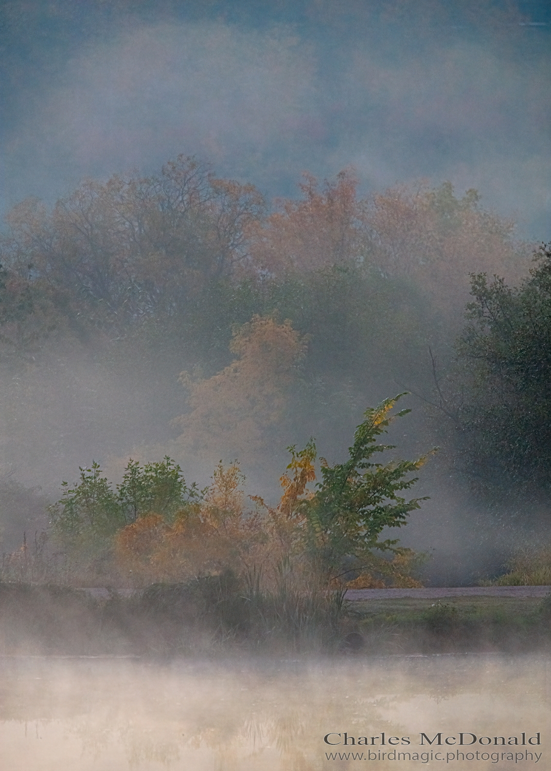 Autumn Mist