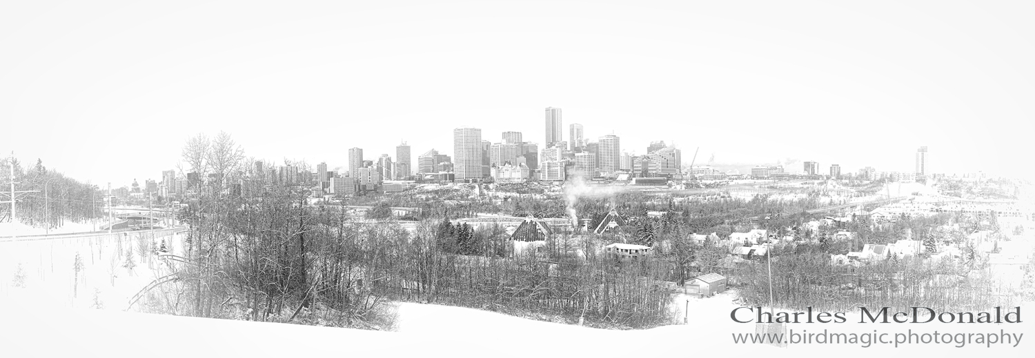 Edmonton Skyline