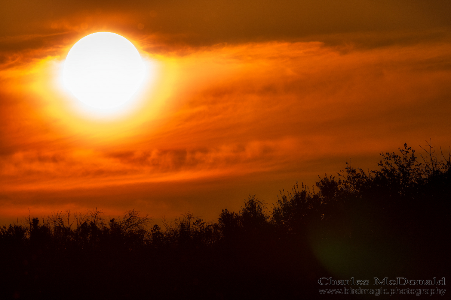 Sol